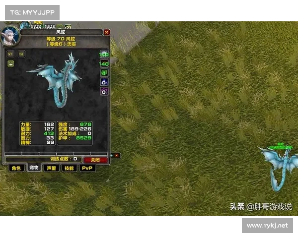 魔兽世界猎人装备打孔攻略