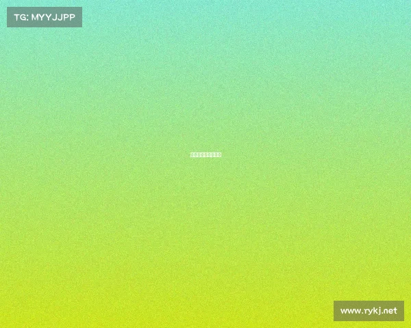 闪耀征程，全新启航